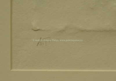  / Tři grácie / Olbram Zoubek