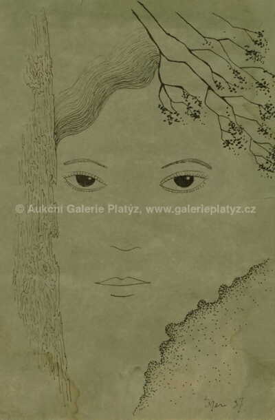  / Zasněná dívka / Marie Čermínová - Toyen