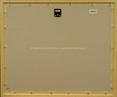  / Pouliční prodavač sošek / František Tavík Šimon