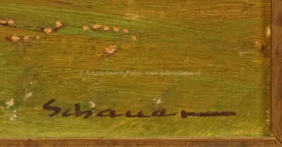  / Z Vysočiny / Karel Schauer