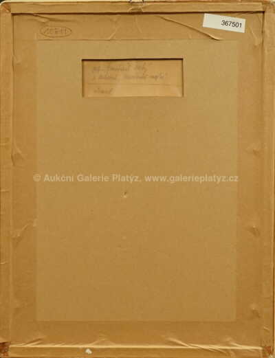  / Jakub Arbes Newtonův mozek / František  Tichý