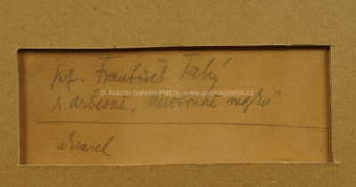  / Jakub Arbes Newtonův mozek / František  Tichý