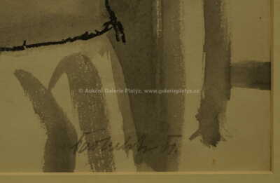  / Stydlivá / Arnošt Paderlík