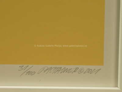  / I´m afraid / Pasta  Oner