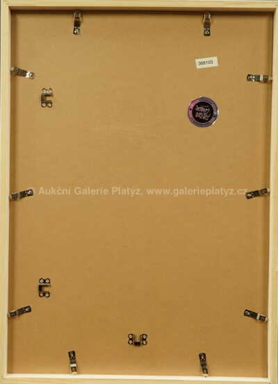  / I´m afraid (modrá) / Pasta  Oner