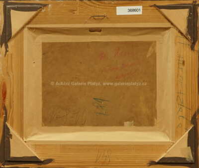  / Slunce v lese / František Daněk - Sedláček