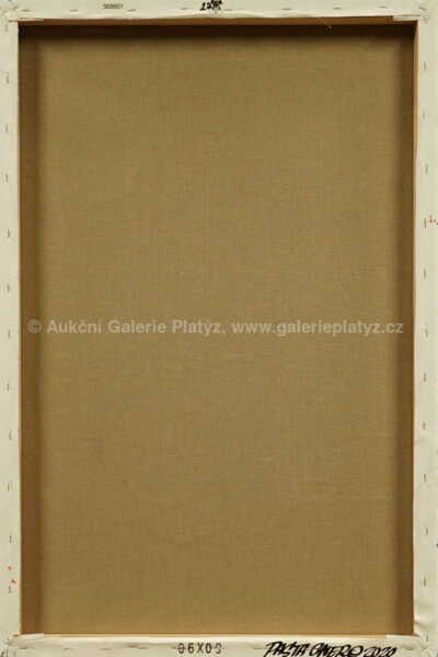  / Thief / Pasta  Oner