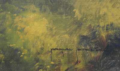  / Pohled na Pražský hrad / Jaroslav Šetelík