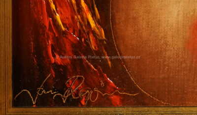  / Dívka s perlou / Jan Rapin