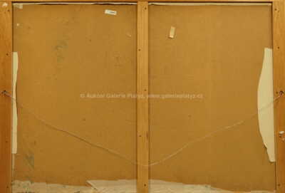  / Duny / František Janula