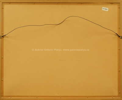  / U povozu / Roman Havelka