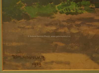  / U povozu / Roman Havelka