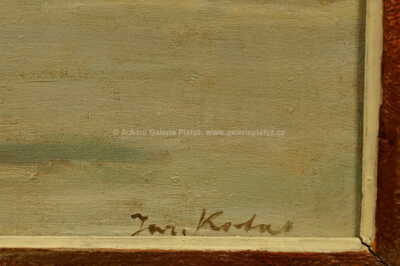  / Zimní řeka / Jaroslav Kotas