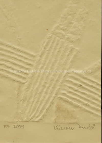  / PF 2009 / Olbram Zoubek