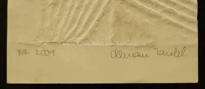  / PF 2009 / Olbram Zoubek