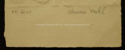  / PF 2010 / Olbram Zoubek