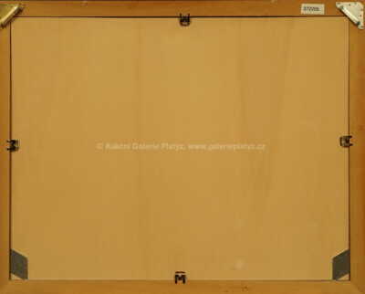  / Městečko v horách / Miloš Pošar