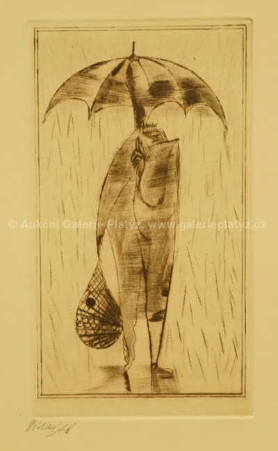  / Novoročenka Františka Tichého / František  Tichý