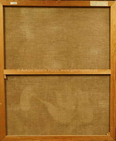  / V cirku / Jindra Husáriková