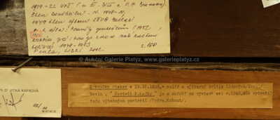  / Portrét Franze Kafky / Otakar Mrkvička