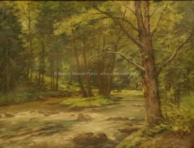  / Lesní potok / Roman Havelka