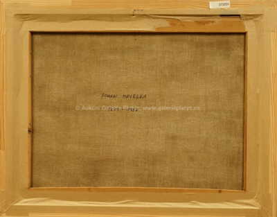  / Lesní potok / Roman Havelka