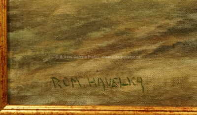  / Lesní potok / Roman Havelka