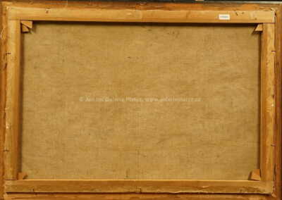  / V parku / Ferdinand Engelmüller