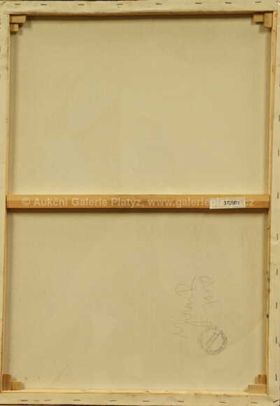  / Dívka s kočkami / Robert Jiran