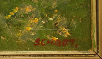  / Rozkvetlé stráně / Karel Schadt