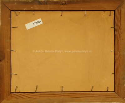  / Rozkvetlé stráně / Karel Schadt