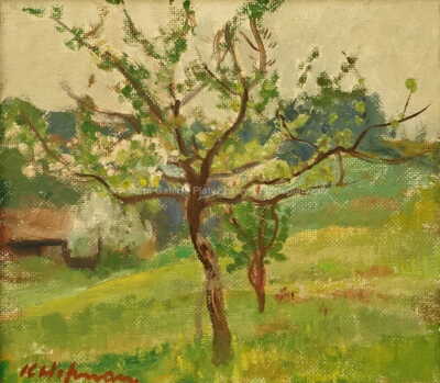  / Rozkvetlý strom / Karel Hofman