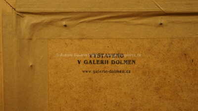  / Rozkvetlý strom / Karel Hofman