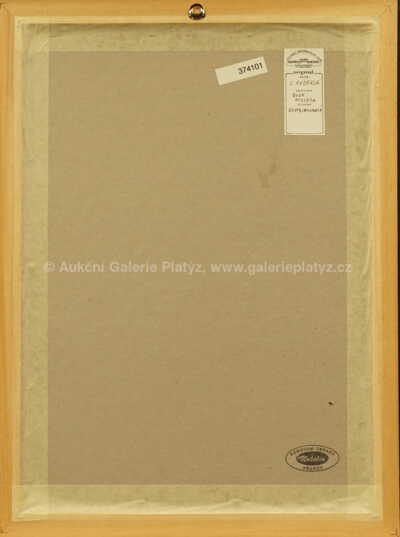  / Rosa Muscosa / Jiří Anderle