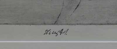  / Skály / František  Tichý