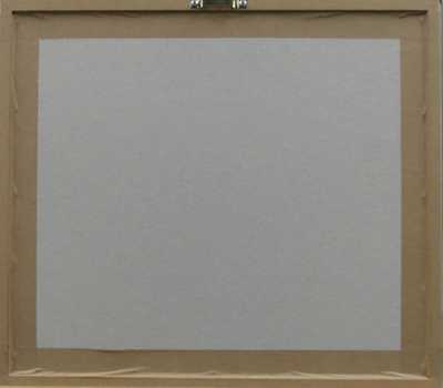  / Skály / František  Tichý