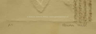  / Herečka / Olbram Zoubek