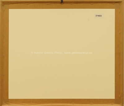  / Surrealistický motiv / Marie Čermínová - Toyen