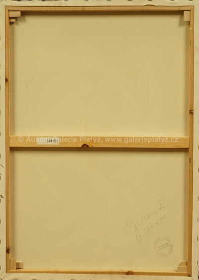  / Zasmušilá / Robert Jiran