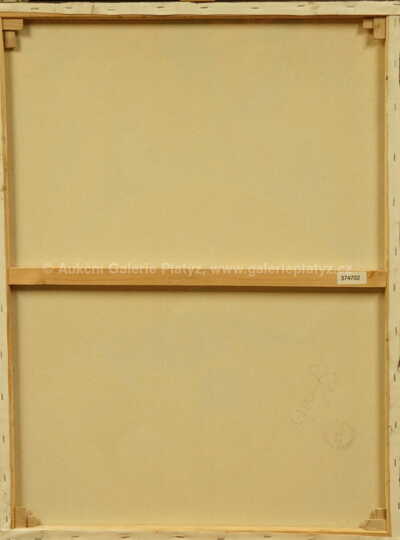  / Zrcadlení / Robert Jiran