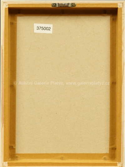  / Dívka na vinici / Marie Čermínová - Toyen