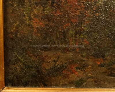  / U ohníčku / Antonín Raimund Wolf