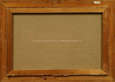  / Za oponou / Vladimír Komárek