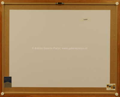  / Mirek osvobozuje Jarku / Marko Čermák