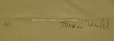  / Sblížení / Olbram Zoubek