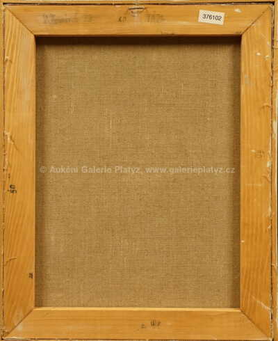  / Váza / Vladimír Komárek