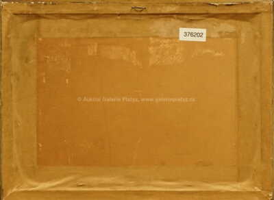  / Dům u vody / Josef Jíra