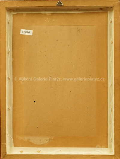  / Baletka / Jan  Bauch