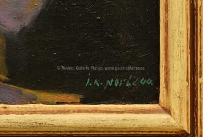  / S kočkou / J. K. Novák