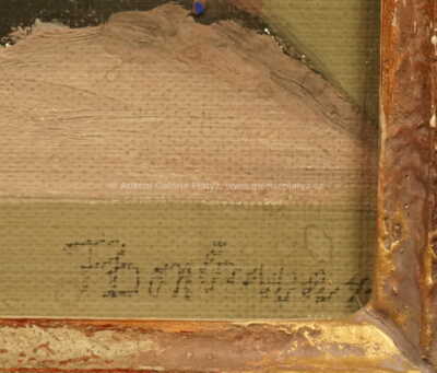  / Zátiší s kočkou / František Doubrava